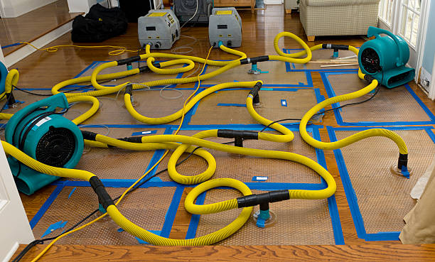 Professional Sewage Cleanup technician working in Weston, WI